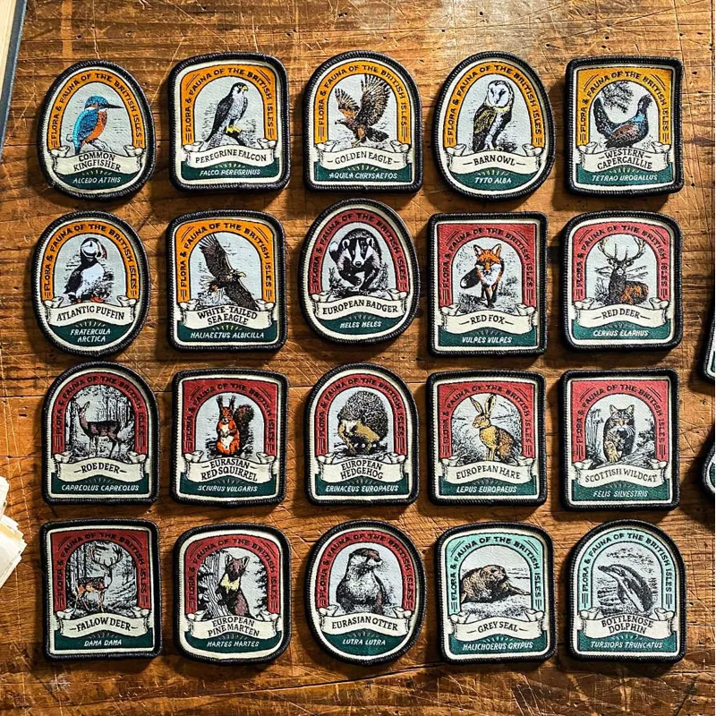 Peregrine Falcon Patch - Adventure Patch Co.-2